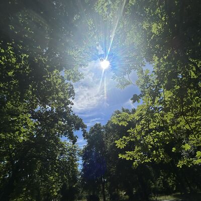 Glashütter Anger in der Sommerhitze
