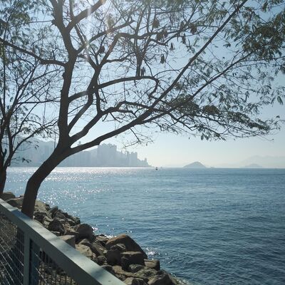 pastoryu-seashore-6005816