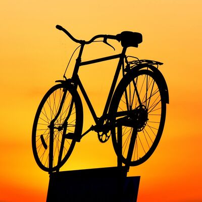 harald_landsrath-bike-1658214