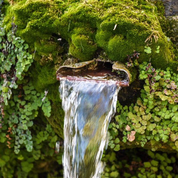lens_and_light-water-3910484