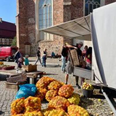 260816_Erntefest_Ankuendigung_5_Stadtblatt-komprimiert