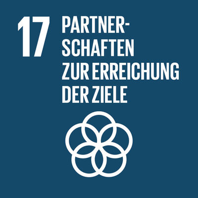 Bild vergrößern: SDG-icon-DE-17