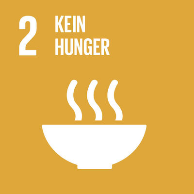 Bild vergrößern: SDG-icon-DE-02
