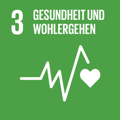 Bild vergrößern: SDG-icon-DE-03