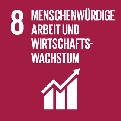 Bild vergrößern: SDG-icon-DE-08