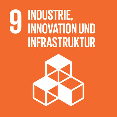 Bild vergrößern: SDG-icon-DE-09