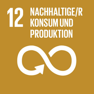 Bild vergrößern: SDG-icon-DE-12
