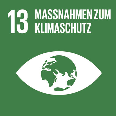 Bild vergrößern: SDG-icon-DE-13