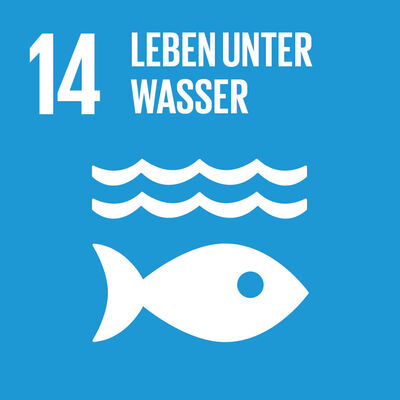 Bild vergrößern: SDG-icon-DE-14