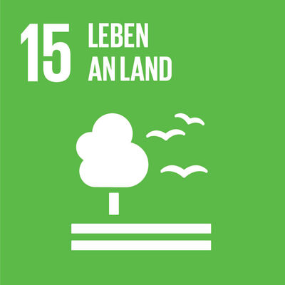 Bild vergrößern: SDG-icon-DE-15